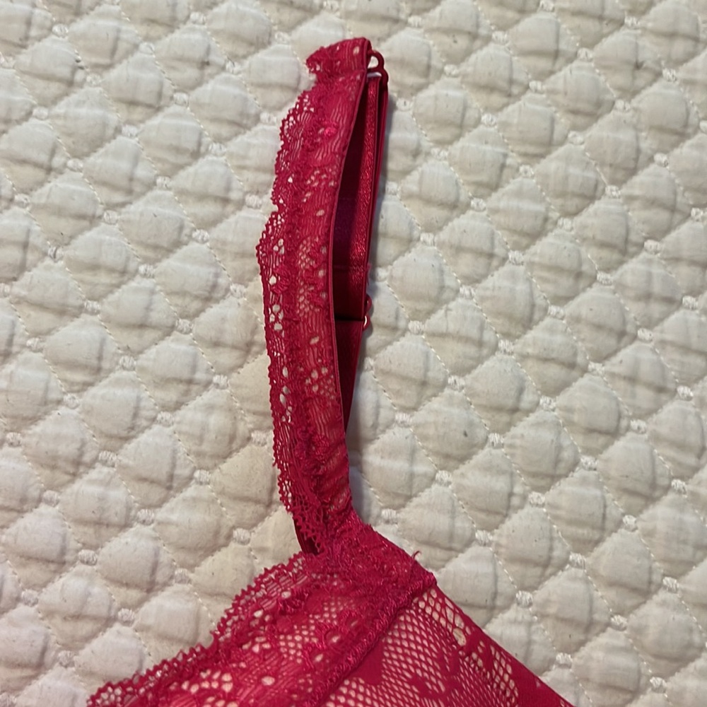 Cacique Lace Bra - Picture 4 of 5